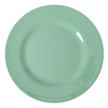 Load image into Gallery viewer, Melamine Dinner Plates In Assorted Colours by Rice dk