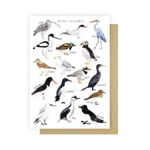 Load image into Gallery viewer, British Coastal Birds Greetings Card
