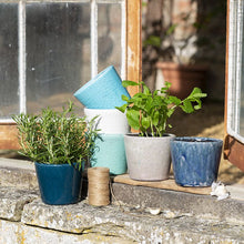 Load image into Gallery viewer, Old Style Dutch Plant Pots - Assorted Colours