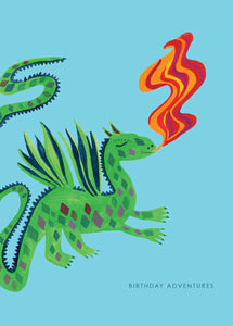 Dragon Adventure Birthday Card by Hutch Cassidy