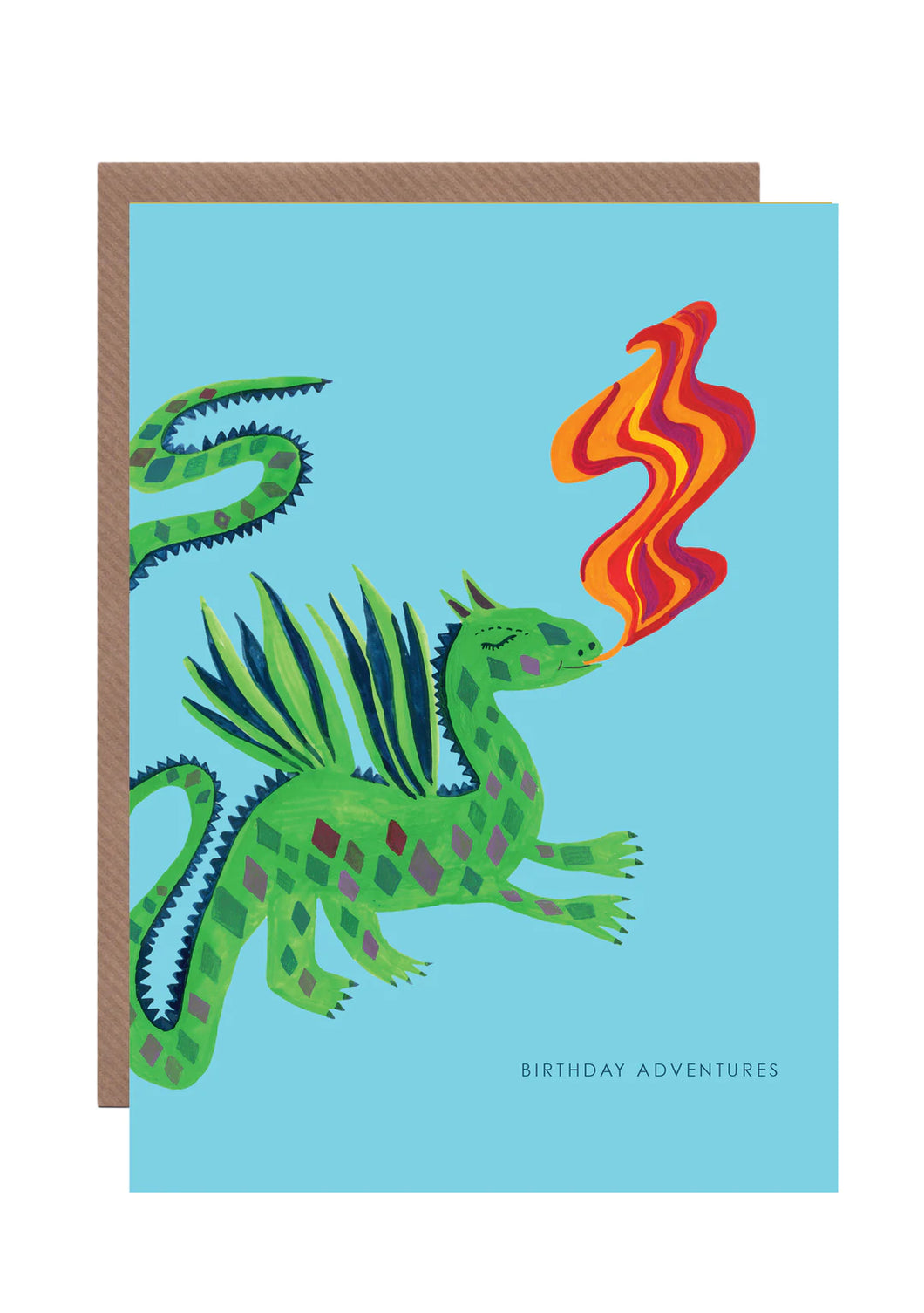 Dragon Adventure Birthday Card by Hutch Cassidy