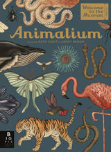 Load image into Gallery viewer, Animalium
