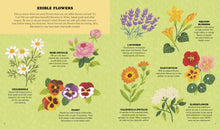 Load image into Gallery viewer, A Spring Treasury of Recipes, Crafts and Wisdom by Angela Ferraro-Fanning and Annelies Draws