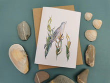 Load image into Gallery viewer, Kelp Sealion Greetings Card
