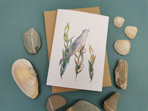 Kelp Sealion Greetings Card