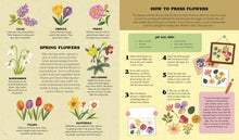 Load image into Gallery viewer, A Spring Treasury of Recipes, Crafts and Wisdom by Angela Ferraro-Fanning and Annelies Draws