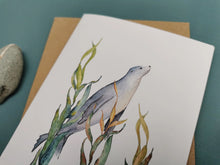 Load image into Gallery viewer, Kelp Sealion Greetings Card
