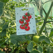 Load image into Gallery viewer, Iron on Patch  -  Tomatoes by Petra Boase
