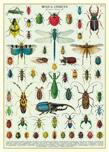 Cavallini & Co. Vintage Poster - Bugs & Insects