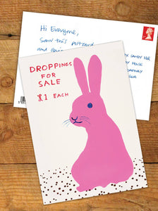 A6 Art Postcard By David Shrigley - Droppings For Sale