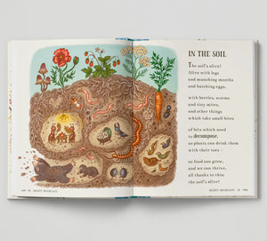 Brown Bear Wood - Wisdom Of The Woods