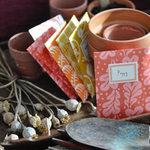 Load image into Gallery viewer, Cambridge Imprint Pack Of 8 Seed Envelopes &amp; Labels - Quercus Pomegranate
