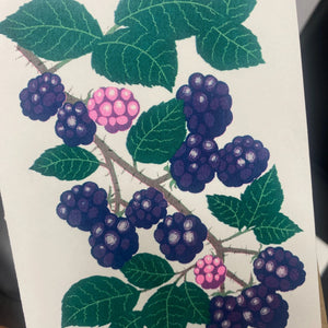 Petra Boase Greeting Card - Grow Blackberry