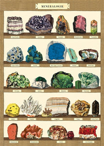 Cavallini & Co. Vintage Poster - Mineralogie 2
