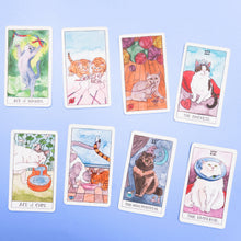 Load image into Gallery viewer, Cat Tarot - 78 Cards and Guidebook

