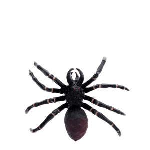 Realistic Tarantula