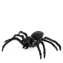 Load image into Gallery viewer, Realistic Tarantula
