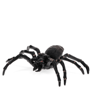 Realistic Tarantula