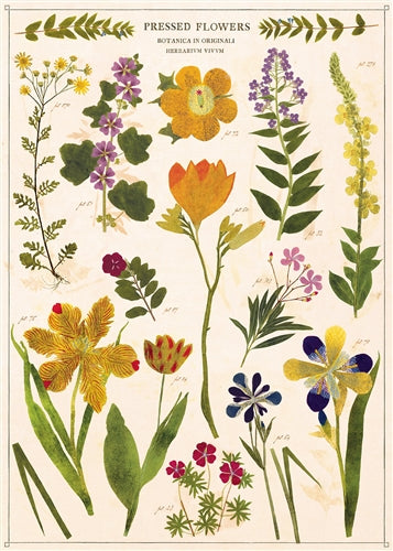 Cavallini & Co. Vintage Poster - Pressed Flowers