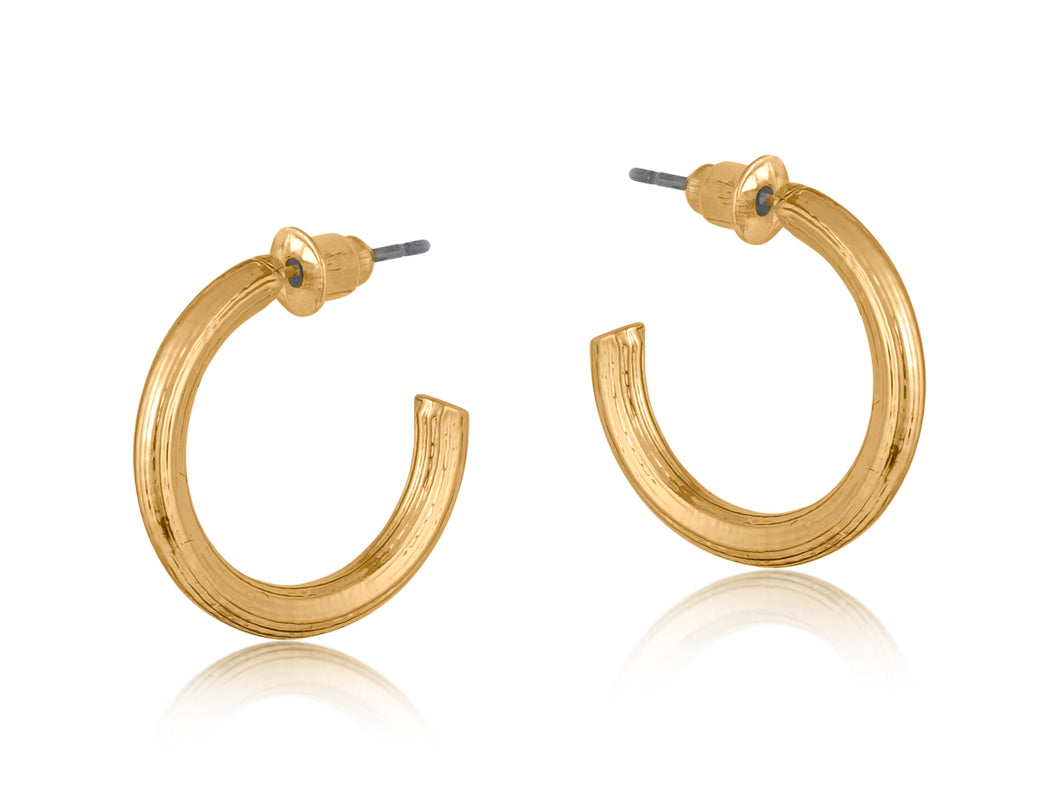 Anthonia Halo Small Hoop Earrings - Gold