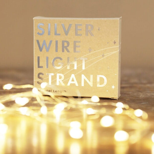 Silver battery operated string lights in front of it's box packaging 