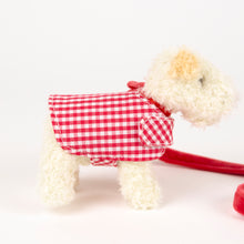 Load image into Gallery viewer, Egmont Toys - Mini Eliot With Leash &amp; Coat  - In Giftbox

