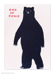 A6 Art Postcard By David Shrigley - End of Picnic