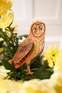 East End Press Paper Ornaments - Winter Birds