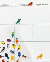 Load image into Gallery viewer, Birds Wildlands Stickers
