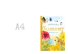 Load image into Gallery viewer, A Field Guide To Summer
