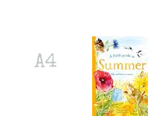 A Field Guide To Summer