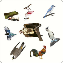 Load image into Gallery viewer, A Spotting Game - Birds
