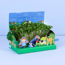 Load image into Gallery viewer, Grow Your Own Mini Farmyard Cress Garden
