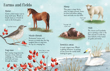 Load image into Gallery viewer, Mini Activity Book - Things To Spot In Winter
