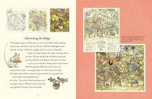 Load image into Gallery viewer, A Visit To Brambly Hedge
