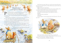 Load image into Gallery viewer, Peter Rabbit Book - Nature Tales
