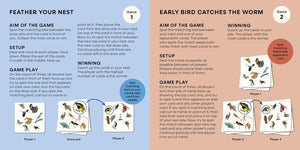 A Spotting Game - Birds