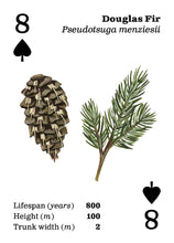 Load image into Gallery viewer, Playing Cards - Top Trees
