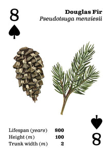 Playing Cards - Top Trees