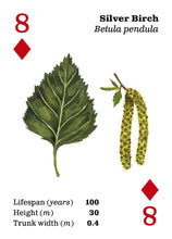 Load image into Gallery viewer, Playing Cards - Top Trees
