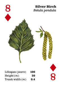 Playing Cards - Top Trees