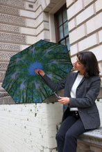 Load image into Gallery viewer, Fulton Umbrella Bloomsbury - 2 Sunburst
