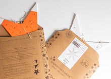 Load image into Gallery viewer, Paper Star Lantern - Venus White
