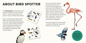A Spotting Game - Birds