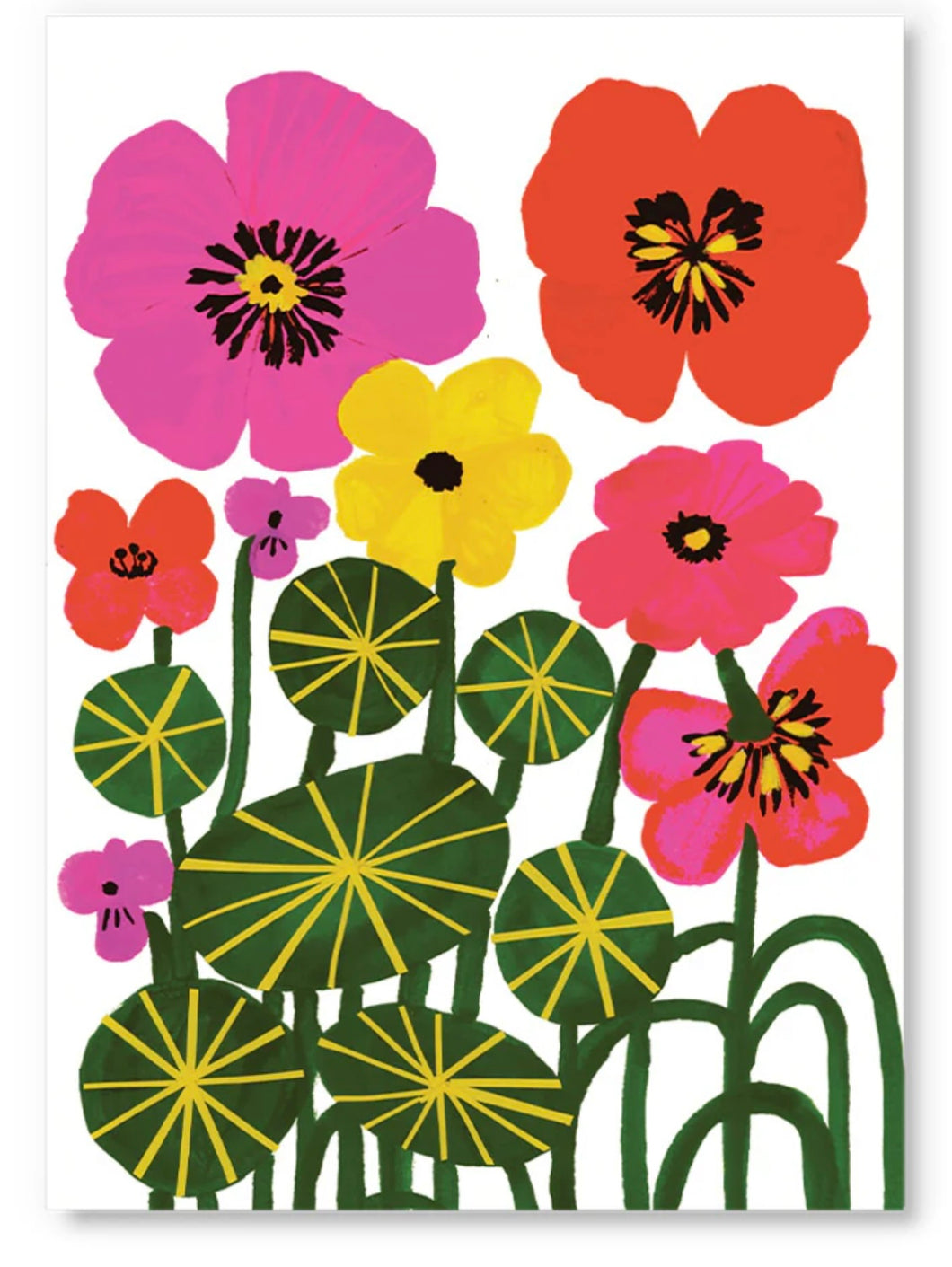 Nasturtiums Post Card