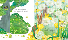 Load image into Gallery viewer, Peep Inside Springtime - Board Book
