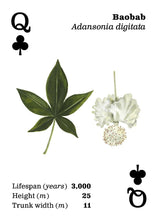 Load image into Gallery viewer, Playing Cards - Top Trees
