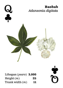 Playing Cards - Top Trees