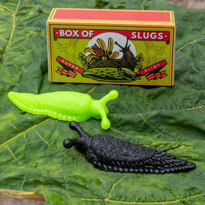 Box Of Supper Slimy Slugs