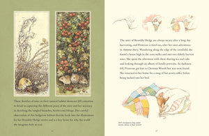 A Visit To Brambly Hedge